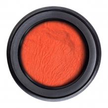 Nail Artists Color Powder - Bright Orange