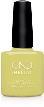 CND SHELLAC Mind over Match