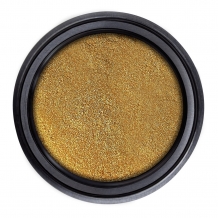 NAIL ARTISTS Cat-Eye Pigment 2 Golden Curry
