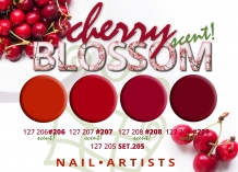 NAIL ARTISTS 27D Gellak 209