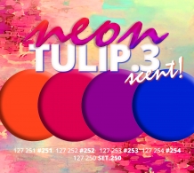 NAIL ARTISTS 27D Gellak 253 Neon Paars